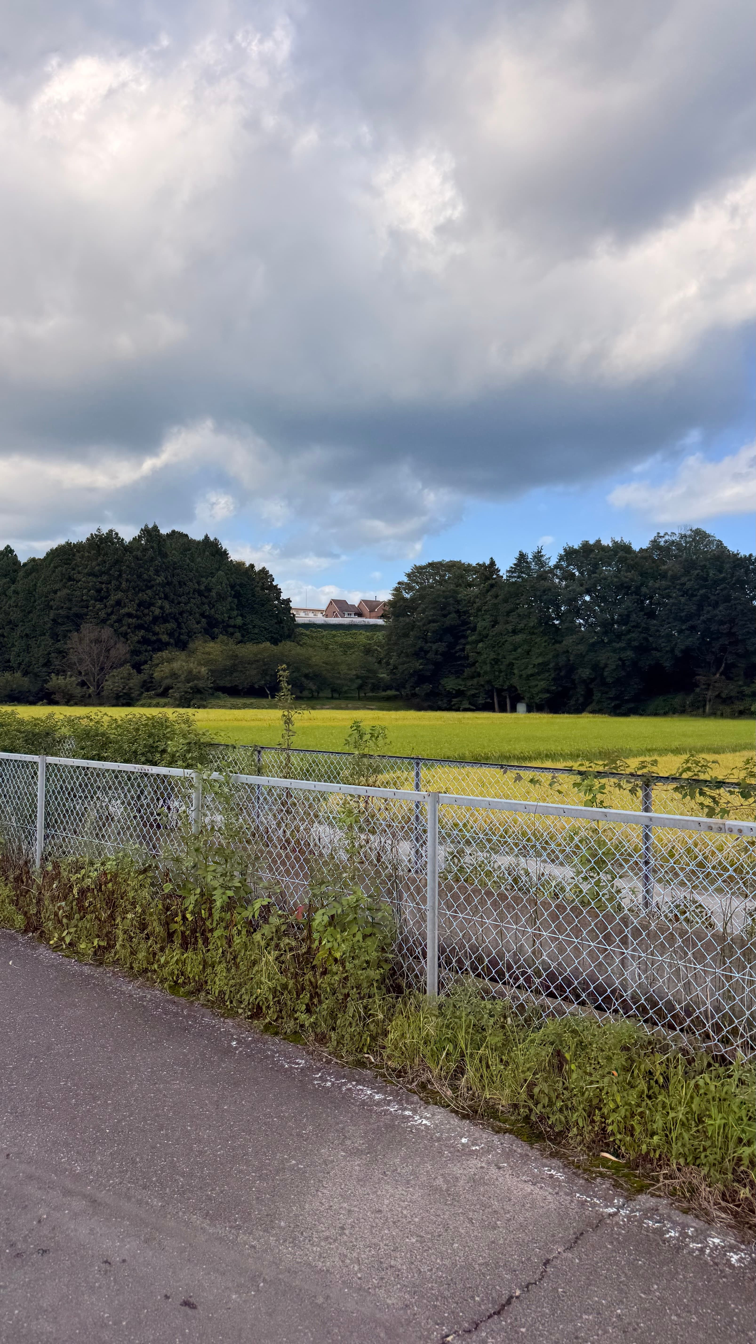 田舎の街